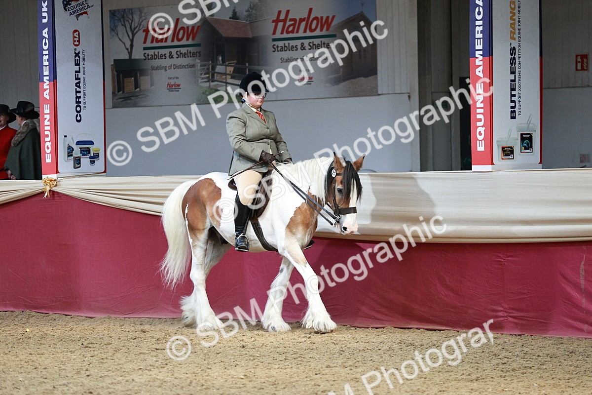 SBM_06954 - Class 10R - Regional Ridden Diamond