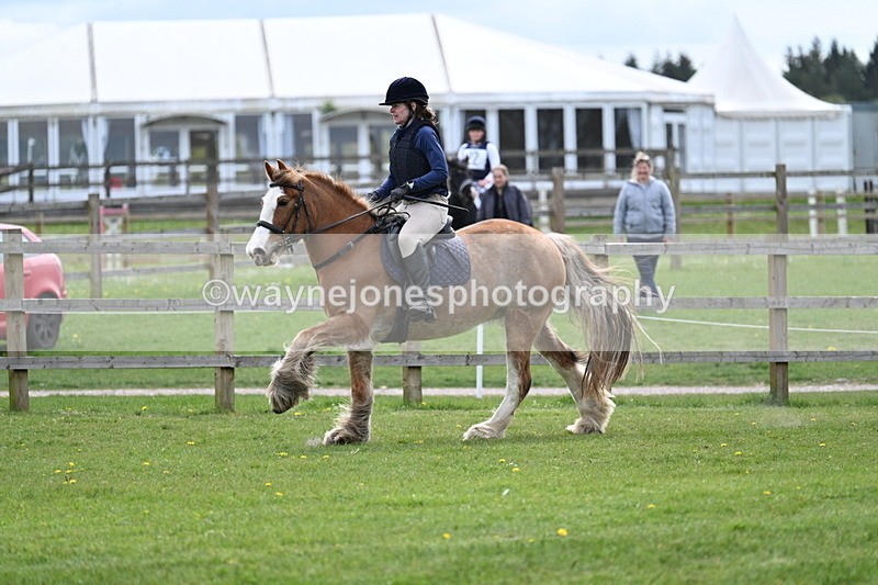 WJ7_6330 - 60cm Time 11:12 to 11:36