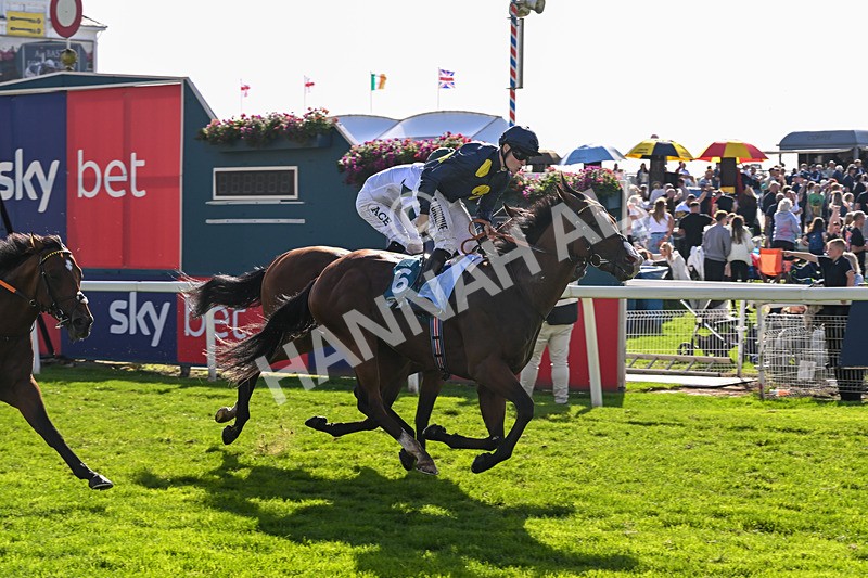 060926-Race 5-Extremely Zain-8415 - Race 5 3.50pm Starman At Tally Ho Stud Garrowby Stakes