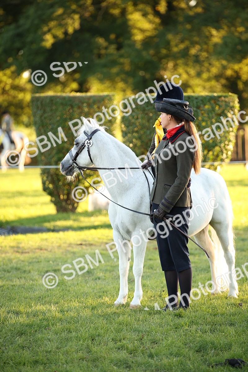 SBM_57059 - Veteran Supreme Championship
