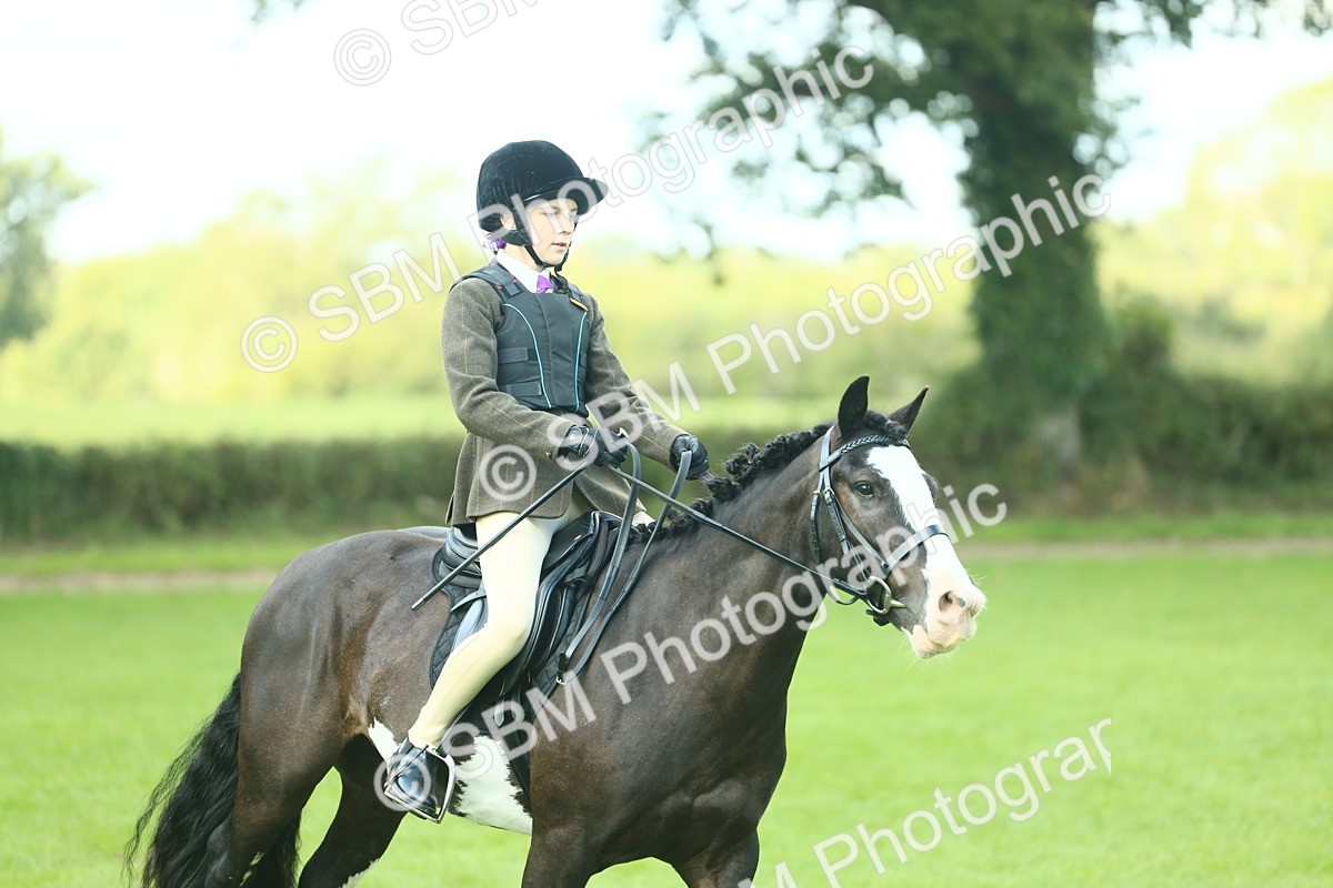 SBM_42019 - S29 - Novice & Newcomers Working Hunter Pony