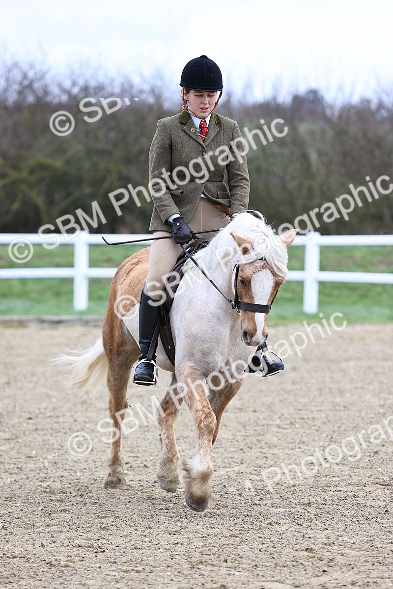 SBM_006994 - Class 29 - 30 - M&M Pure Novice Small-Large Breeds