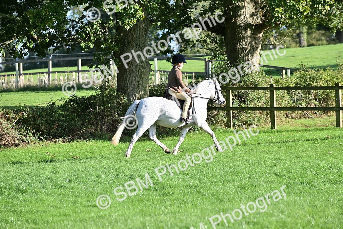 SBM_52999 - S23 - First Ridden Mountain & Moorland Pony