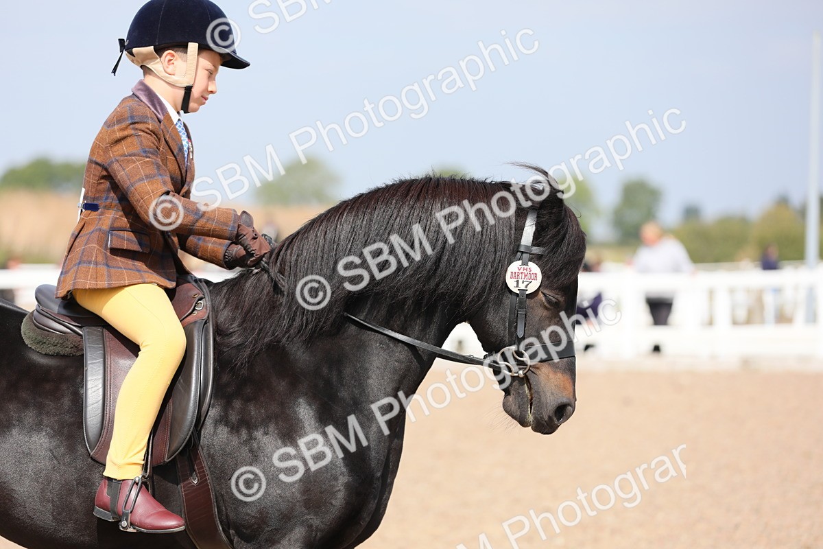 SBM_14736 - Class 310 First Ridden Pony
