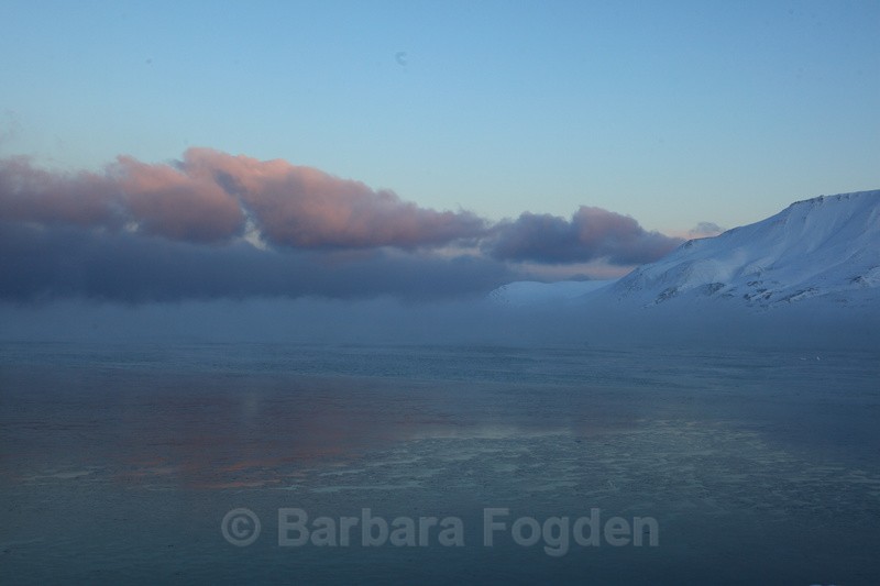 Sea fog in the pink light - The daylight returns