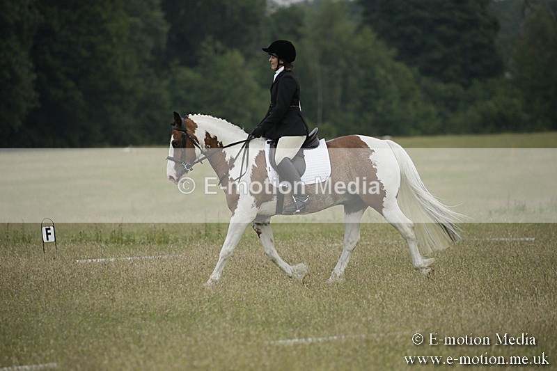 B230619-0218 - Bourne Valley Riding Club Summer Show 23/06/19