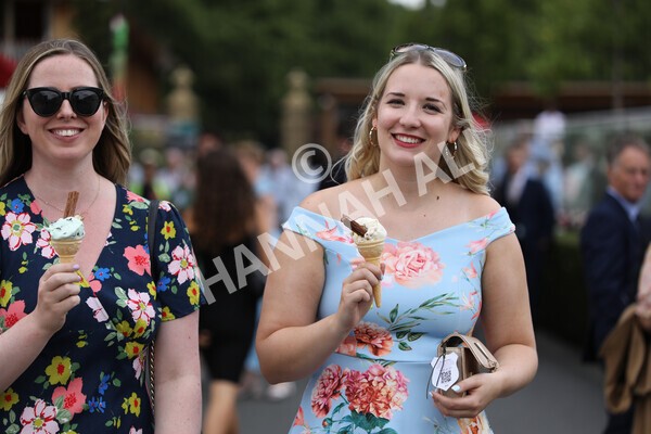 yr23072022r6-3 - Race 6 5.00pm Sky Bet Partnership with Support Dogs Stakes