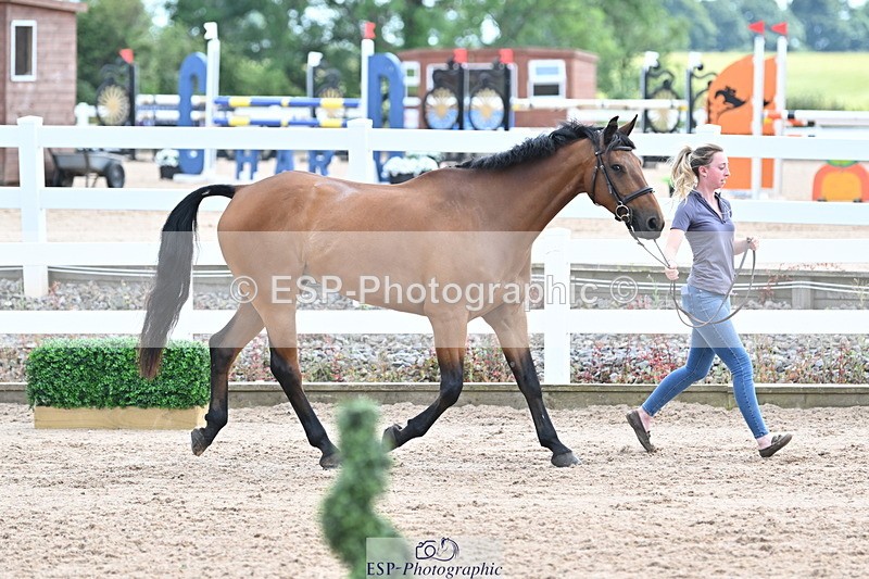 240717A-143841-02163 - Trot Up 2pm to 3pm - This folder is not in time order