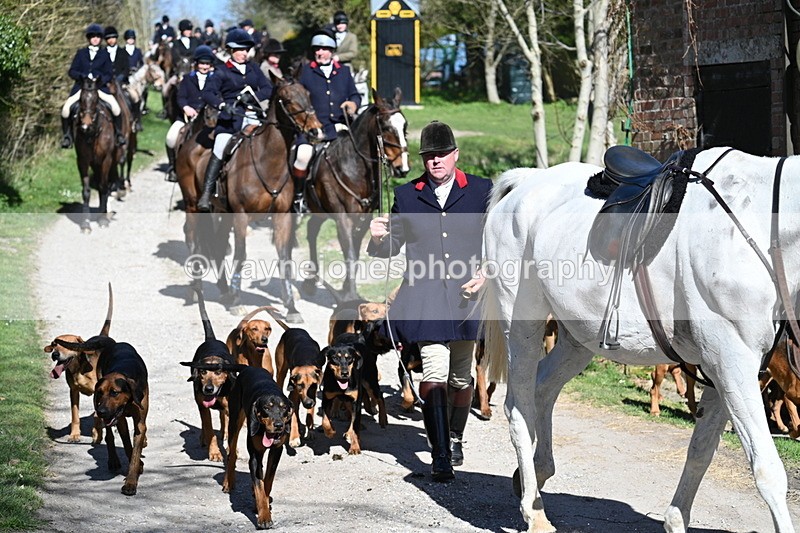 WJ7_9668 - Home for hunt tea !