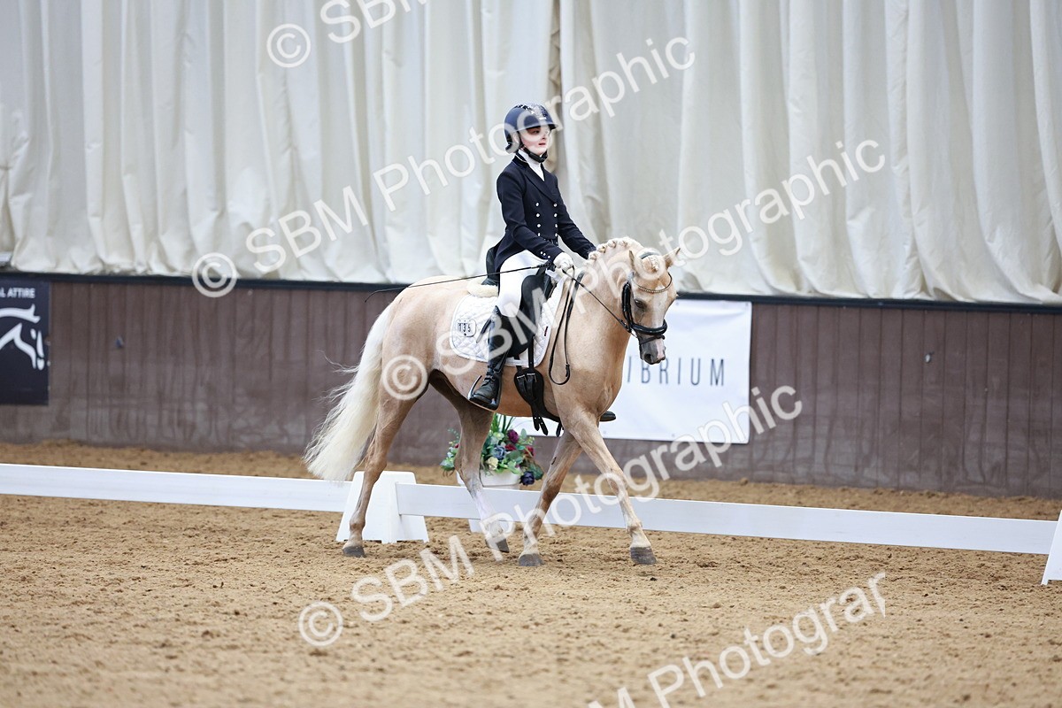 SBM_017384 - Class15 - FEI Pony