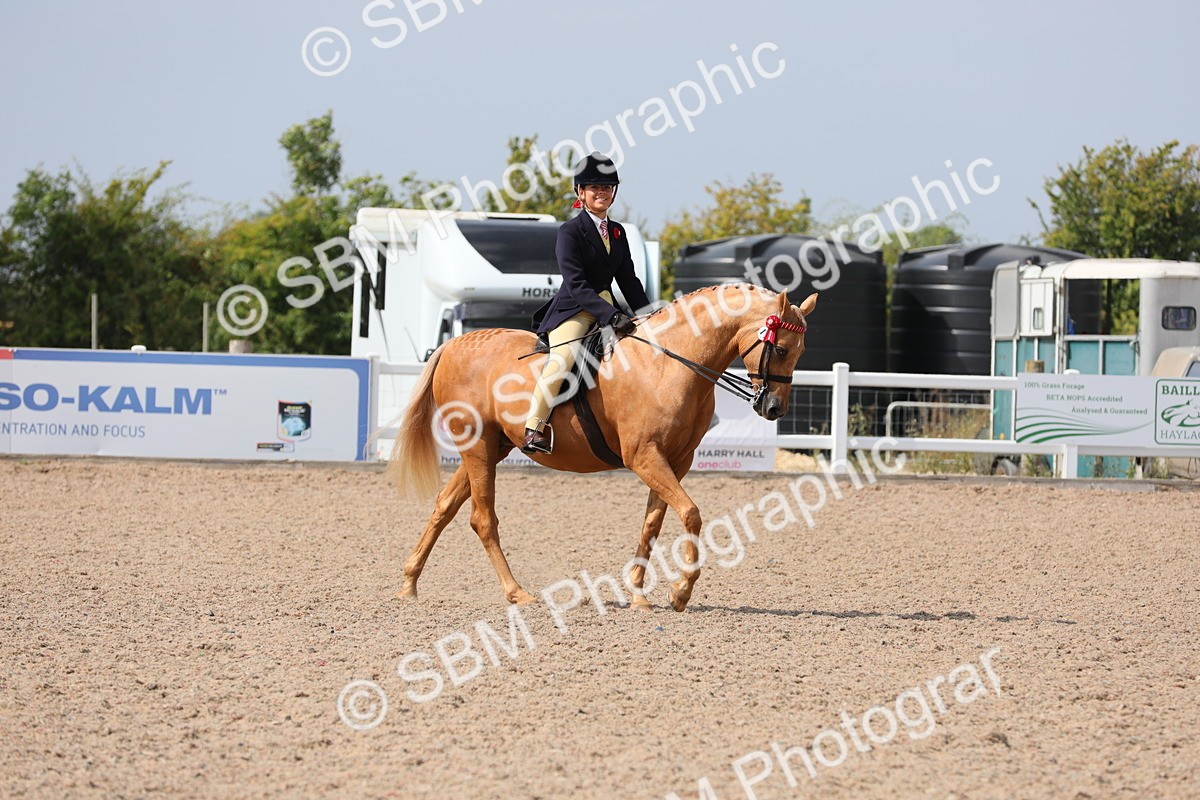 SBM_15559 - Class 311 Ridden Show Pony/ Show Hunter Pony