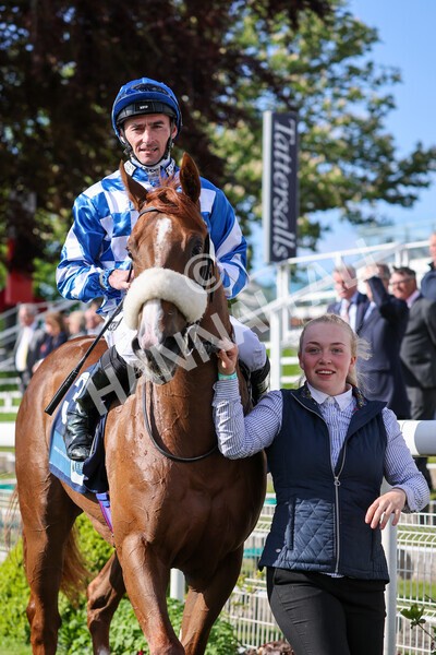 yr11052022r7-35 - Race 7 5.15pm British Stallion Studs EBF Novice Stakes