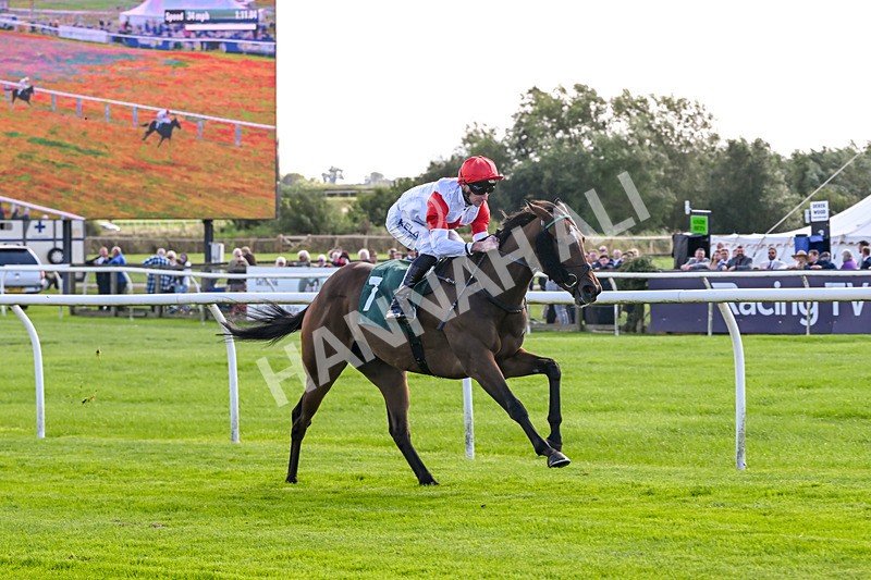 080926-Race 2-Queen Sana-1903 - Race 2 2.28pm Racing TV Club Day Restricted Maiden Stakes