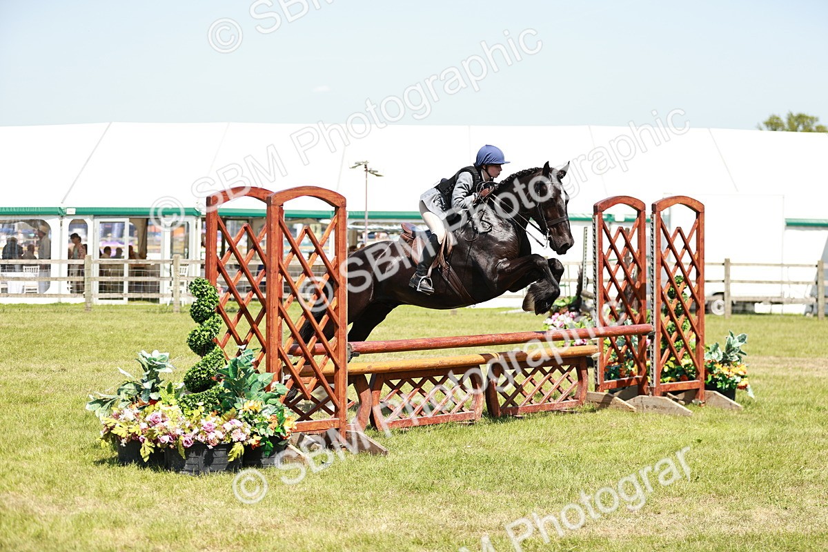 SBM_17358 - Class 110-111 - Training Stakes (70cms 80cms)