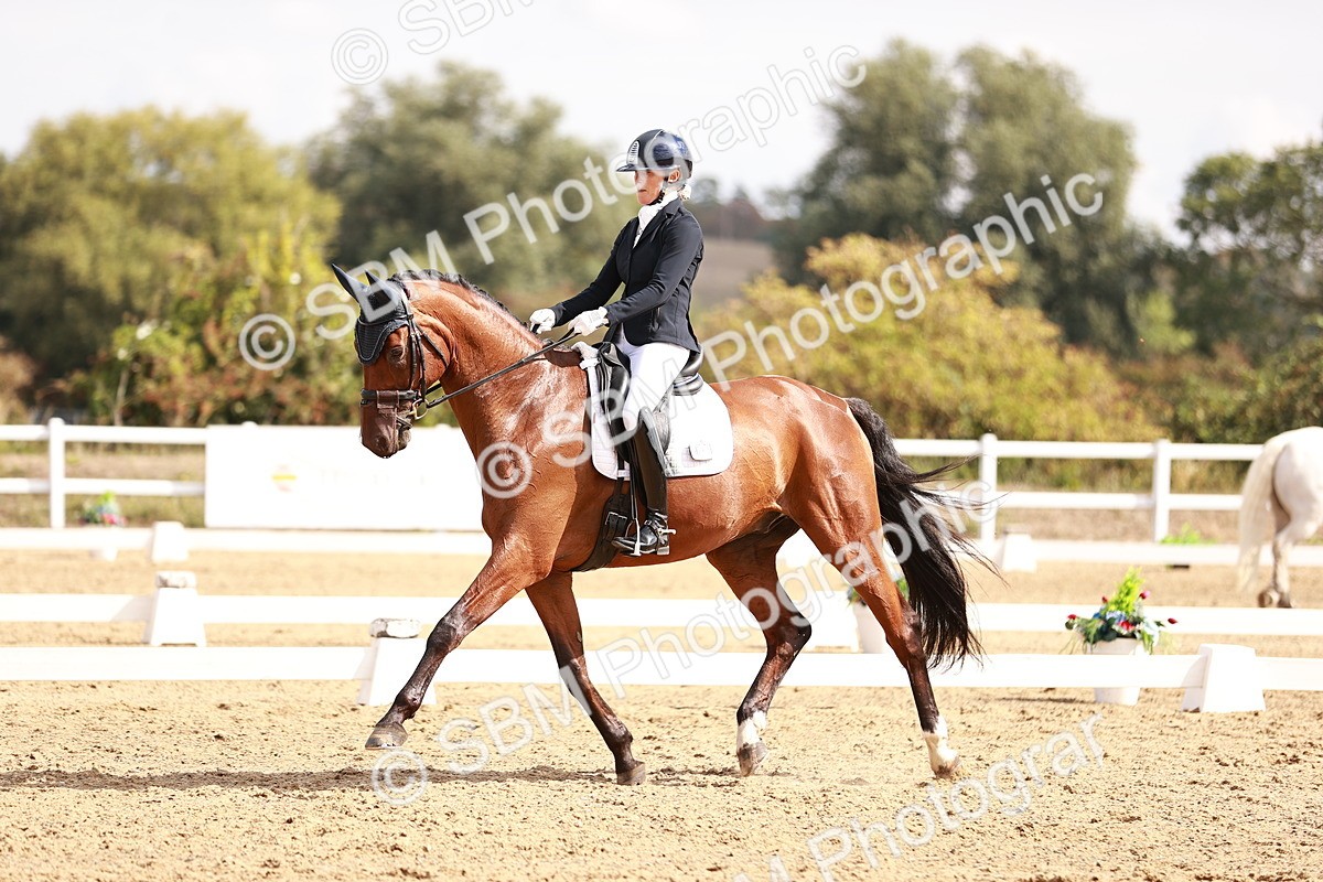 SBM_017651 - Class 11 - Advanced Medium 6