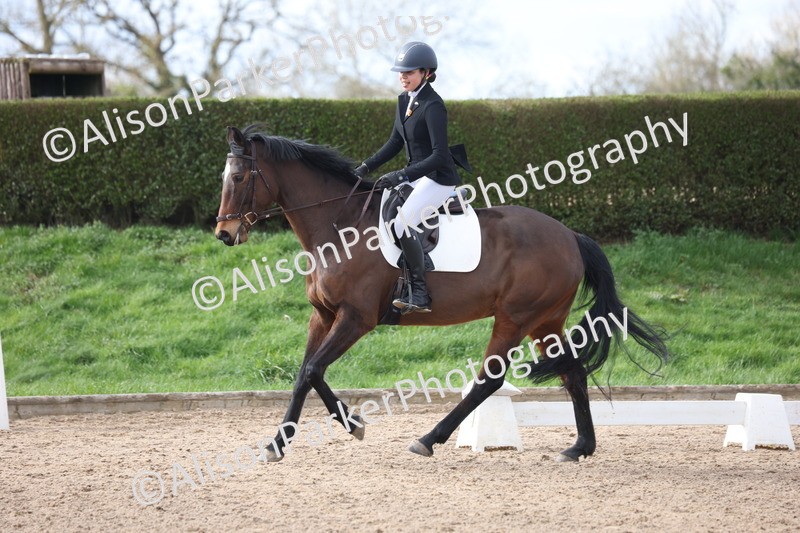 20260228-0721 - Class 5 - Novice 2