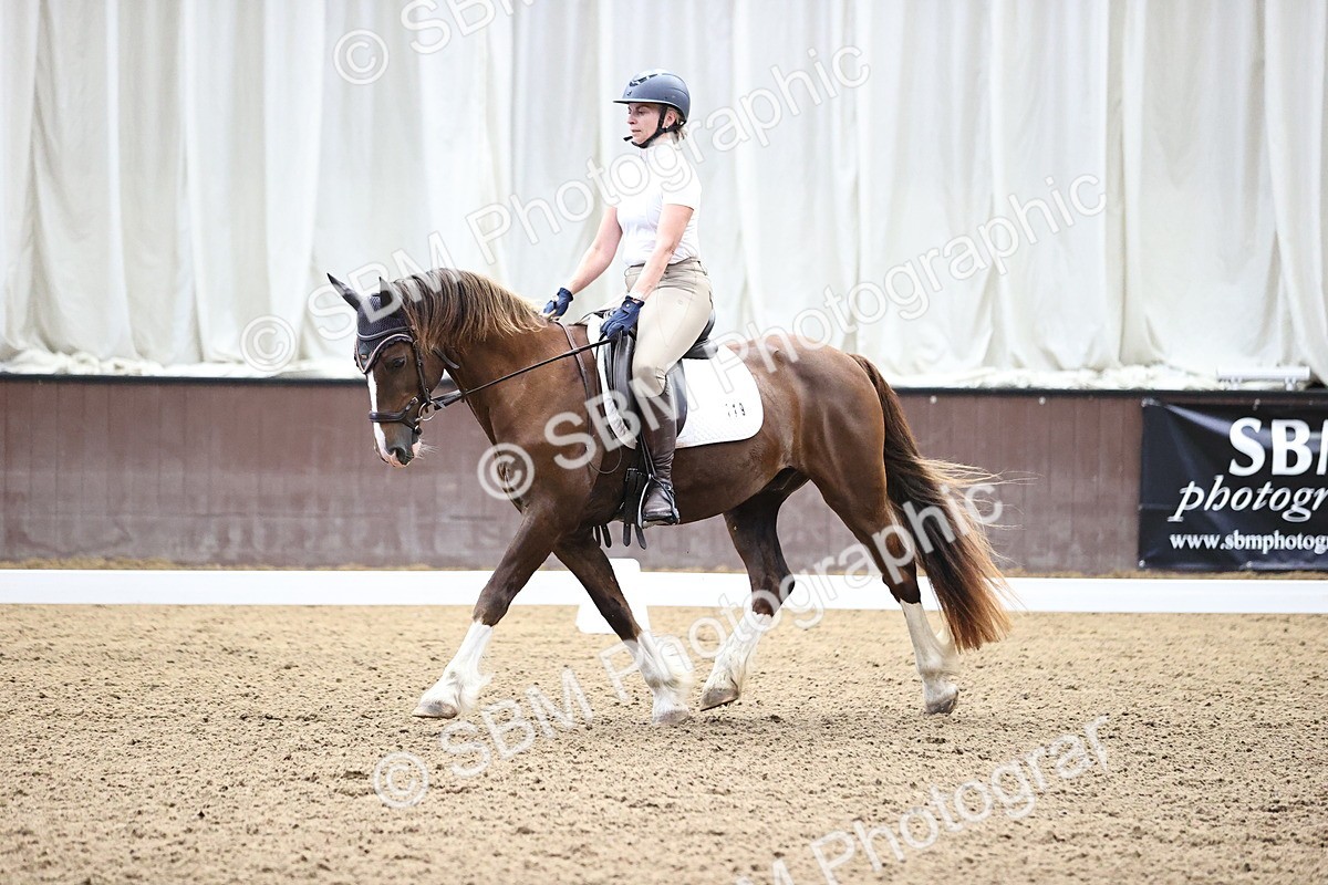 SBM_000515 - Novice 4 Warm Up