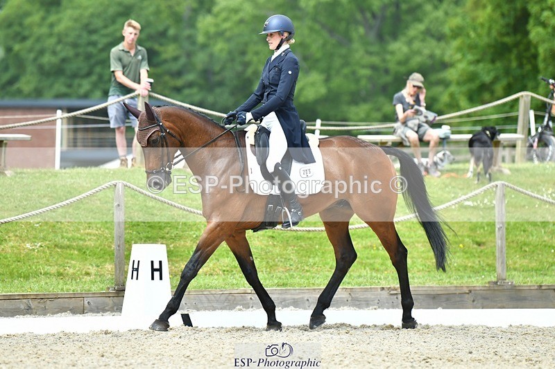 230525-115847-04136 - 205-ARTICUS-Maja_Hullah-WEDTrotUp+DR