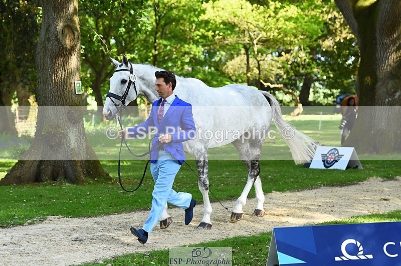 230524-163022-00912 - 118-HIGH_HOPES_VIKING-Harry_Meade-WEDTrotUp+DR