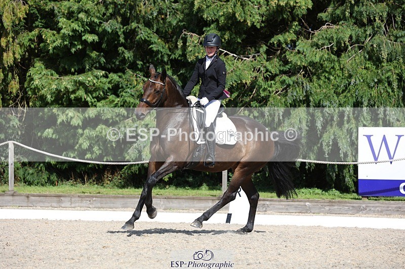 230811-154939-02532 - Cls 1 Prelim Bronze 15.00 to End