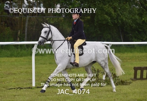 JAC_4074 - 40CM WORKING HUNTER