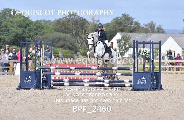 BPP_2460 - DERBY CLASS 7 - 80CM