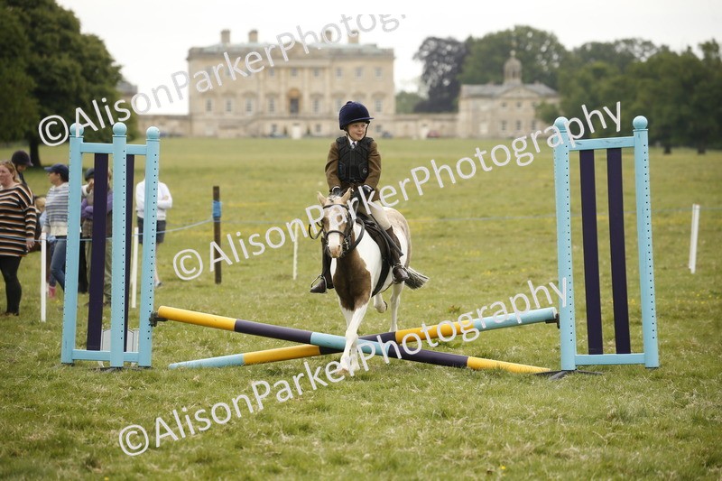 20250517-0802 - Class 2 - 30cm Off Lead Rein