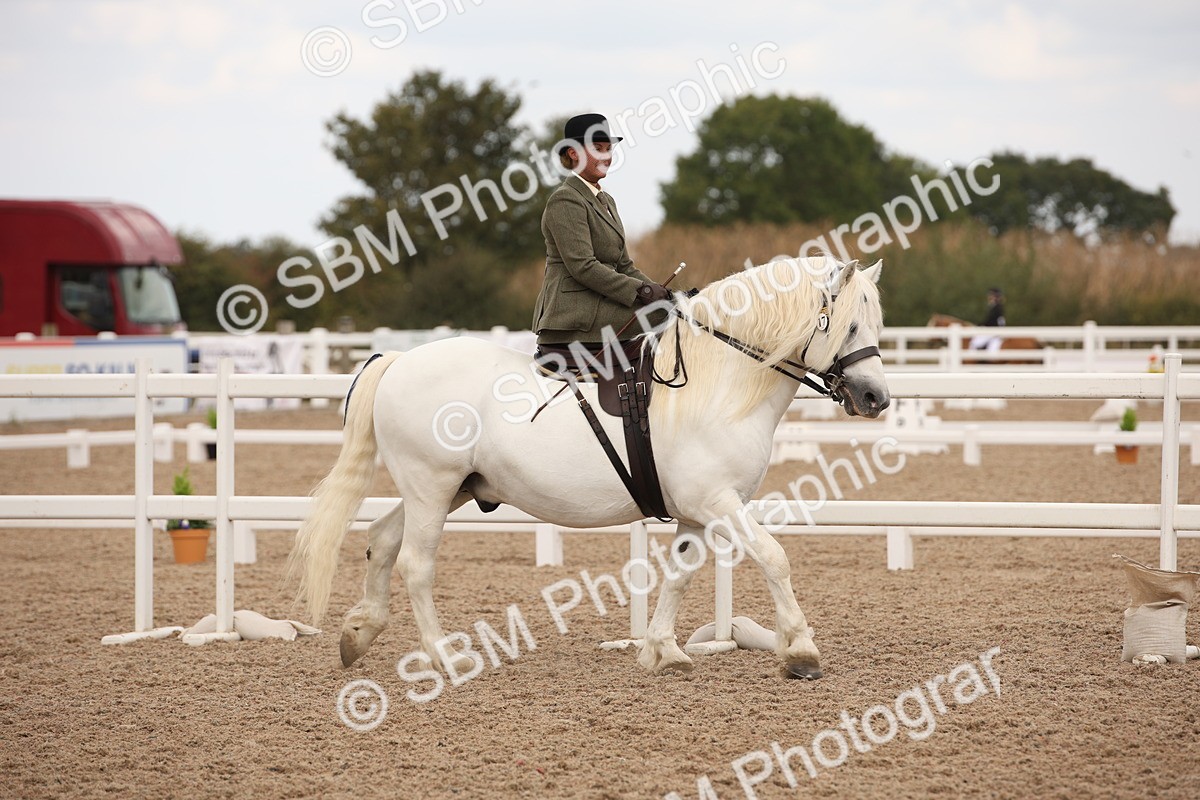 SBM_05304 - Class 22 SSA Equitation