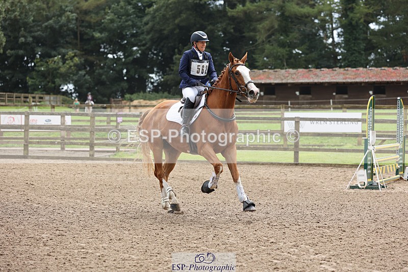 240804-133121-14290 - 562-Jill_Holt-TIGER_ROLL