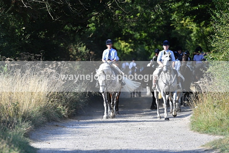 WJ5_4861 - Walk out with the hounds