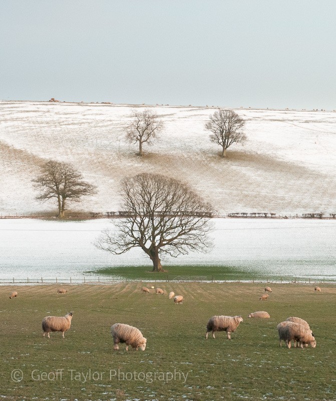 Manor Farm, Easthope - The Literary Landscape of Shropshire