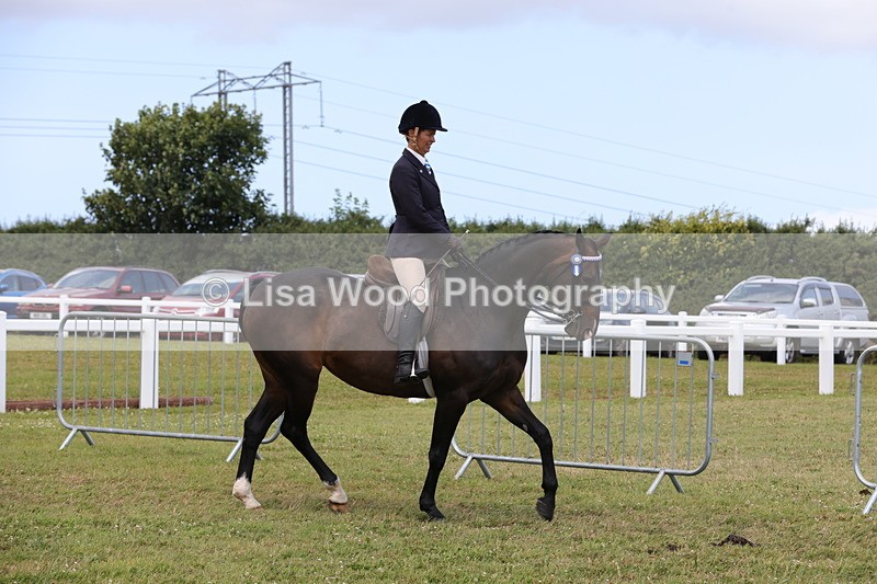 1X9A4327 - Class 34: Veteran Ridden