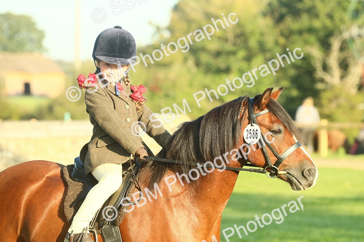 SBM_56726 - S36 - Starters Best Turnout