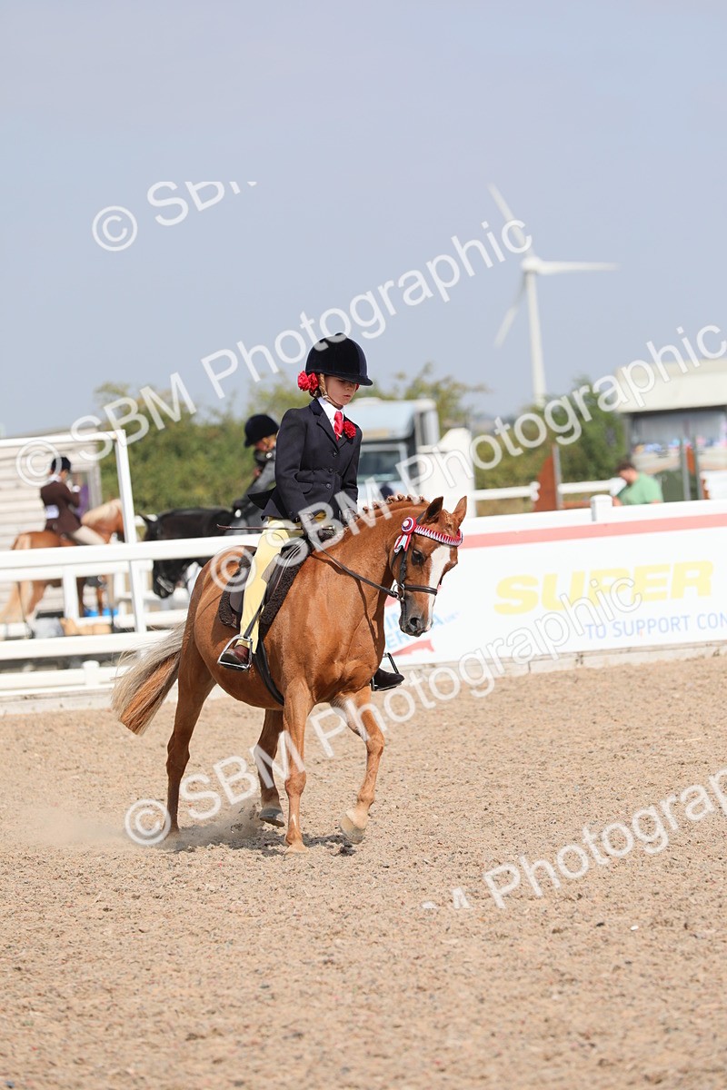 SBM_14760 - Class 310 First Ridden Pony