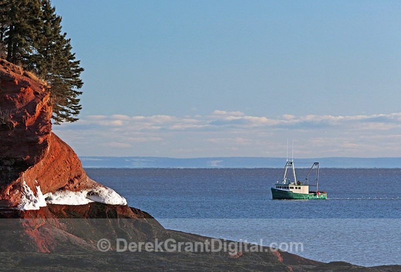 In Search of Lobsters - Boats
