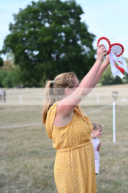 WJ7_6587 - George ...