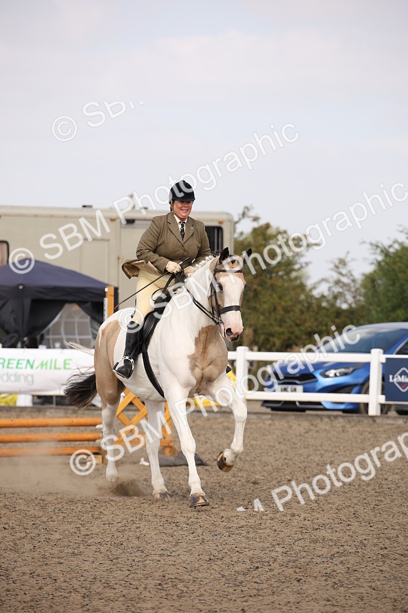 SBM_14202 - Class 407a - Working Veteran 60cm (15-19