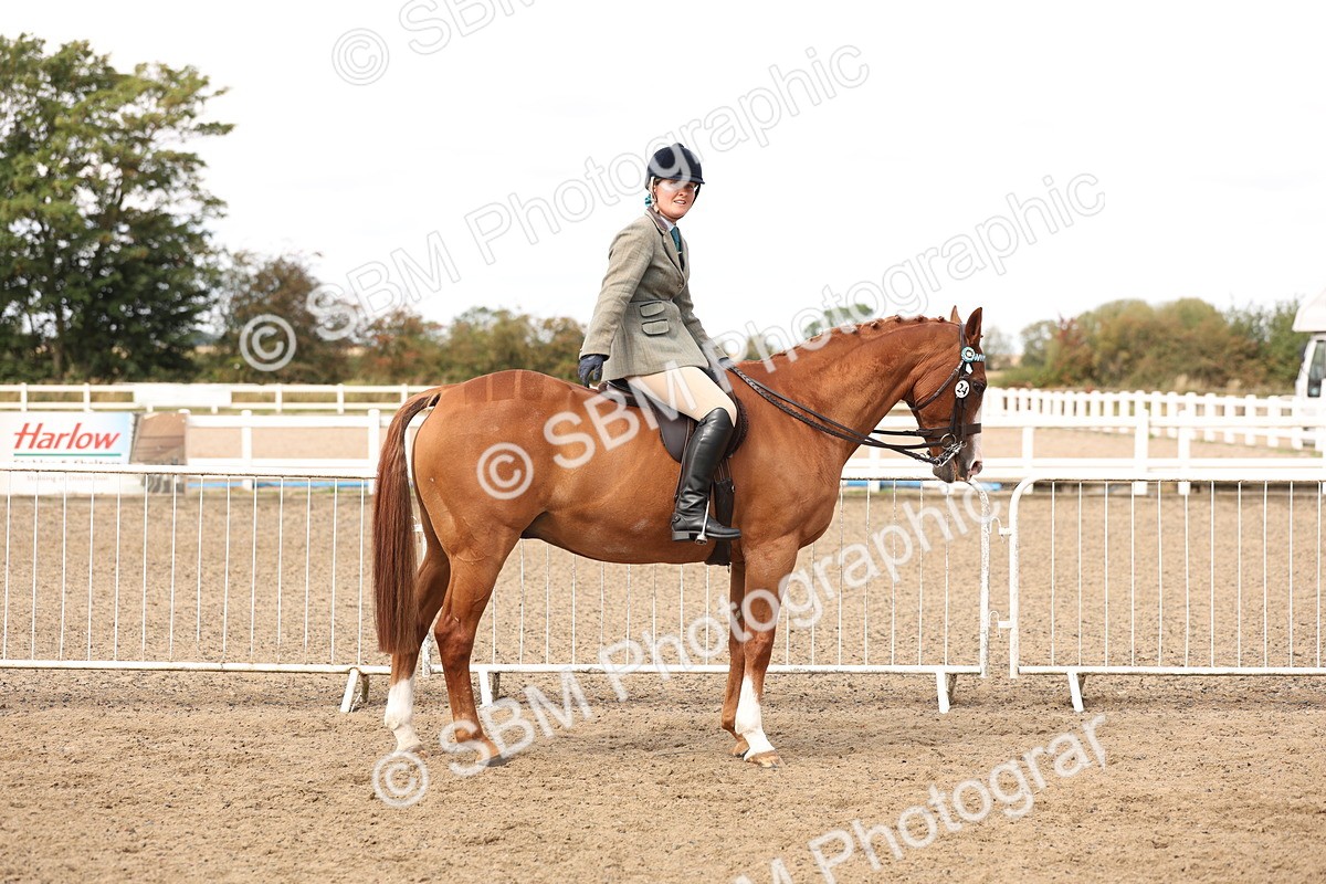 SBM_04263 - Class 54 - Riding Club Horse/Pony