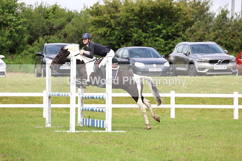 3E7A6670 - Class 9: Pony Discovery/90cm open