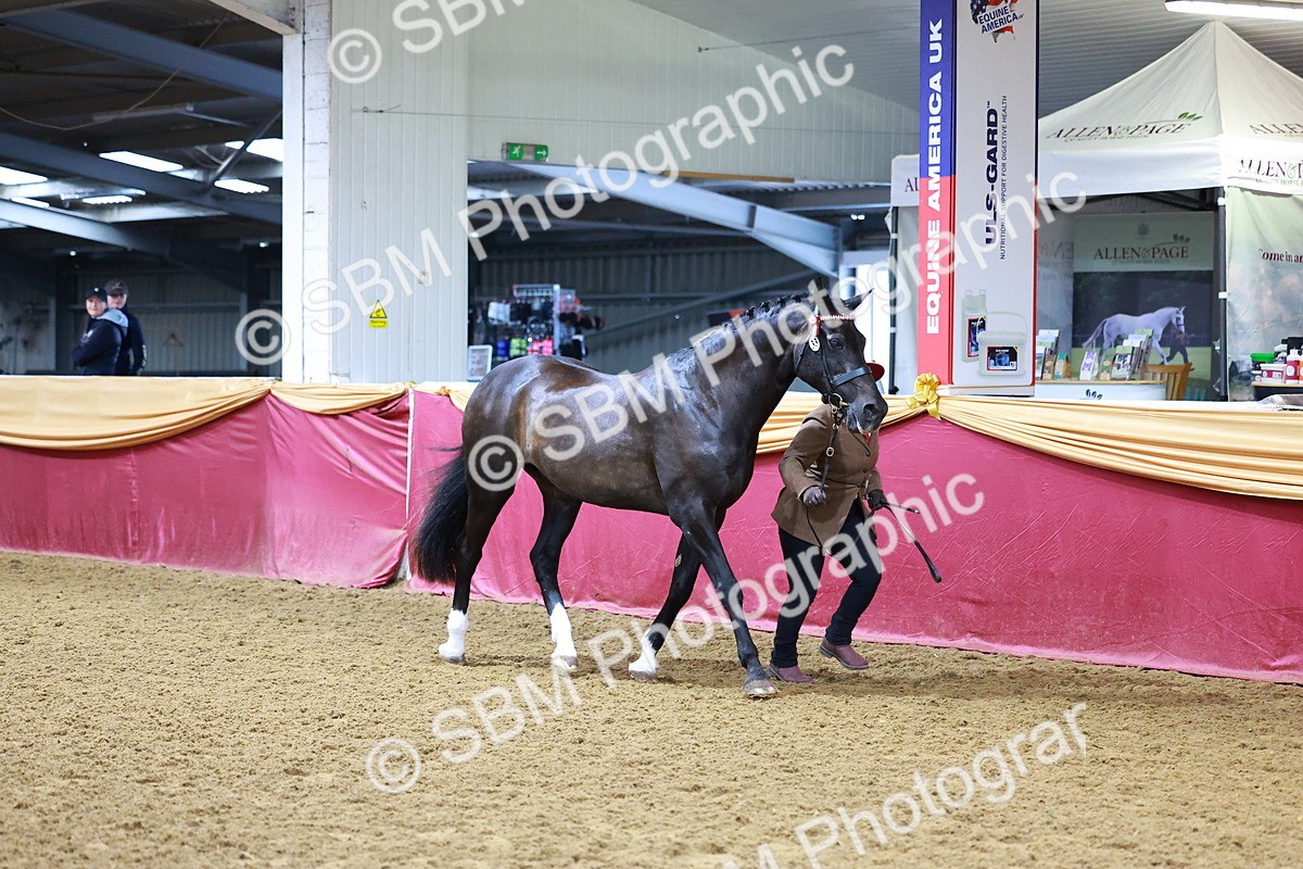 SBM_15986 - Class 901 - Sup Final - IH Diamond