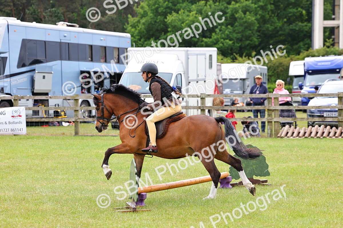 SBM_08613 - Class 42-43 - LIHS BSPS Heritage Working Sports Pony