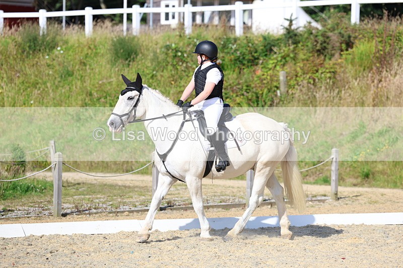 3E7A3343 - Class 2: Intro 1 2024 Section B