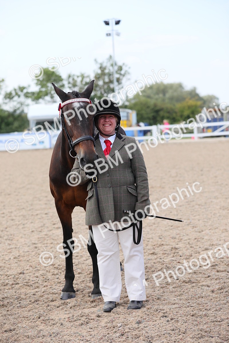 SBM_15883 - Class 312 IH Competition Horse/Pony