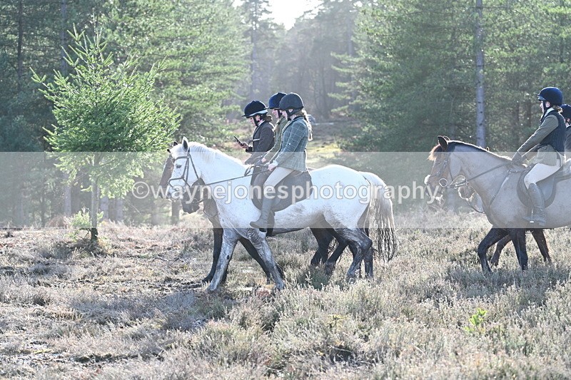 WJ7_7242 - Line 3 (no line 4 or 5)