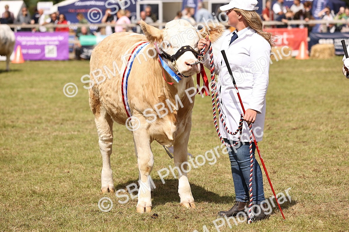 SBM_16938 - Grand Parade
