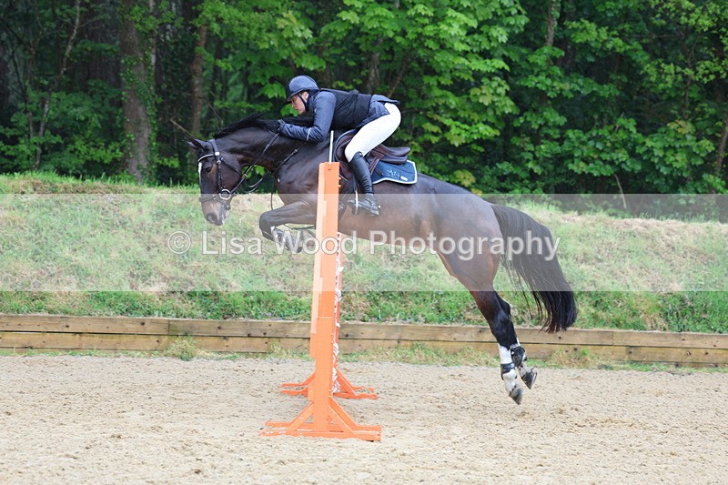 3E7A7440 - Class 8: Senior Foxhunter/1.20 open