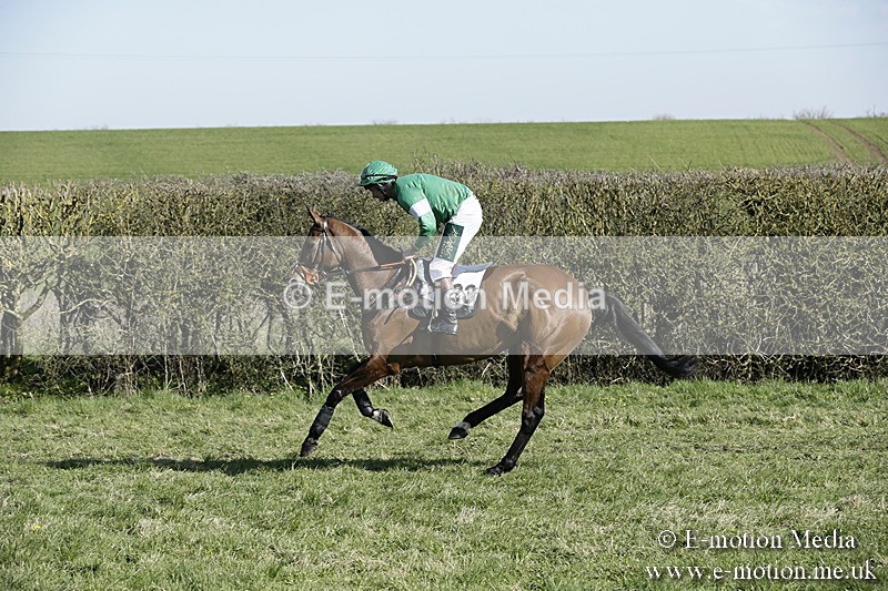 PtP 250317 188 - V.W.H. Hunt Point-to-Point Siddington 25/03/17