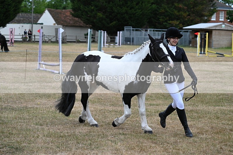 WJ7_8381 - Class 4 Prettiest Mare up to 14.2hh