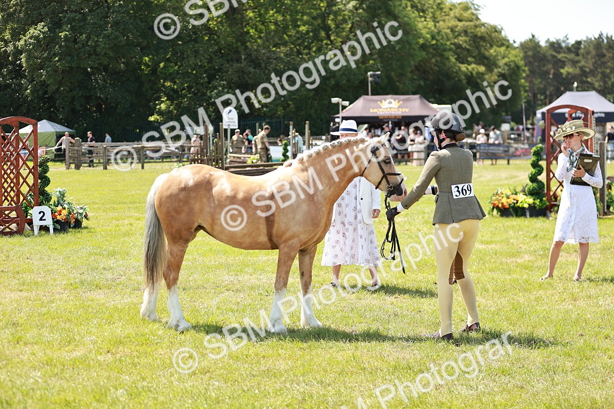 SBM_15696 - Class 108-109 - BSPS LIHS Open Gradle & Nursery Stakes