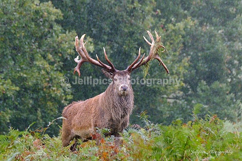  - Wildlife and Nature